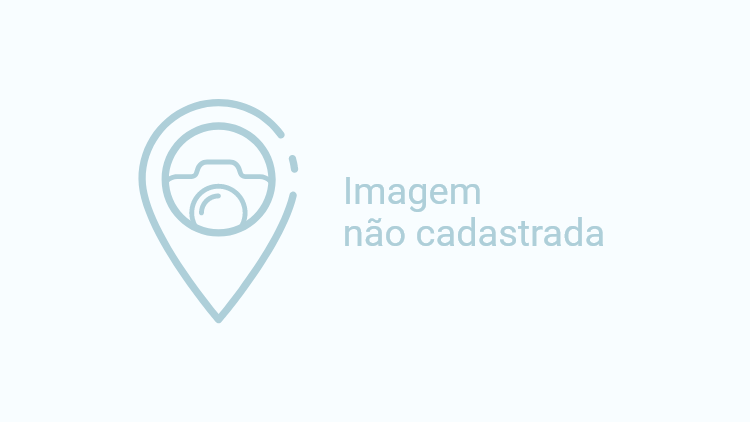 Transfer Privativo Premium - Orla de Macei&oacute; 